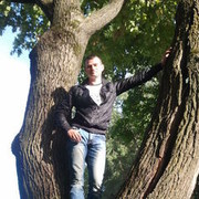  ,  cyberal, 43