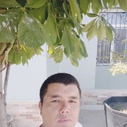  ,   Abror, 36 ,   ,   , c 