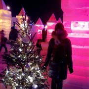 ���������� �����������, ���� ������� Alesya, 35 ���, ������������ 