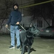 ���������� ������, ���� ������� �����, 41 ���, ������������ ��� ������, ����� � ���������