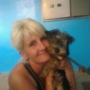  ,   , 53 ,   ,   