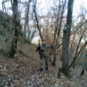 ���������� ����, ���� ������� Ruslan, 39 ���, ������������ ��� ������, ����� � ���������, c�������� ���������