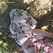 ���������� �����, ���� ������� �����, 68 ���, ������������ ��� ������, ����� � ���������