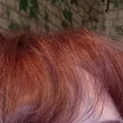 ���������� ������, ���� ������� ������, 49 ���, ������������ ��� ������, ����� � ���������