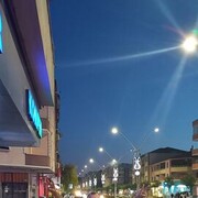 ���������� ������-��-����, ���� ������� ����, 36 ���, ������������ ��� ������, ����� � ���������