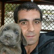 ���������� ������, ���� ������� �����, 38 ���, ������������ ��� c�������� ���������