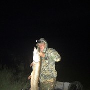 ���������� ������, ���� ������� ����, 41 ���, ������������ ��� ������, ����� � ���������, c�������� ���������