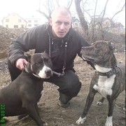  ,   , 43 ,   ,   , c , 