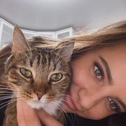 ���������� �����-���������, ���� ������� ������, 28 ���, ������������ ��� ������, ����� � ���������