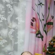  ,   , 38 ,   c 