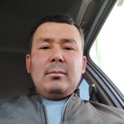 ���������� �����-���������, ���� ������� �����������, 38 ���, ������������ ��� ������, ����� � ���������