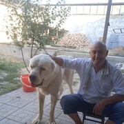 ���������� �������, ������� ������, 45