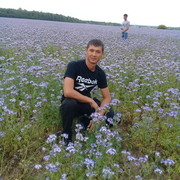 ���������� ������, ���� ������� Kim Nia, 33 ����, ������������ ��� ������, ����� � ���������, c�������� ���������