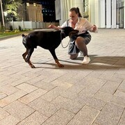 ���������� ������, ���� ������� �������, 33 ����, ������������ ��� ������, ����� � ���������, c�������� ���������