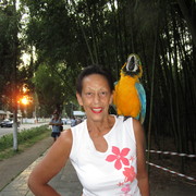  ,   , 81 ,   c 