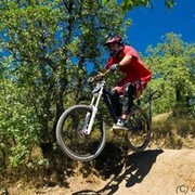 ���������� �����������, ���� ������� ������, 40 ���, ������������ ��� ������