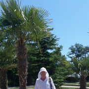  ,   , 50 ,     , c 