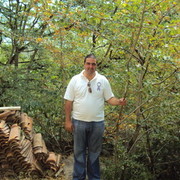 ���������� �������, ���� ������� Nika, 44 ����, ������������ ��� ������