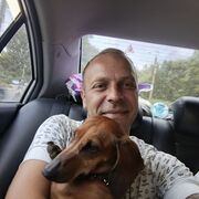 ���������� �����, ���� ������� ���������, 36 ���, ������������ ��� ������, ����� � ���������