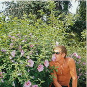  -,   , 46 ,   