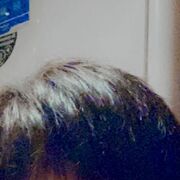  ,   , 33 ,   , 