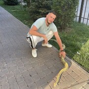  ,   , 26 ,   c 