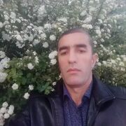  --,   , 40 ,   ,   