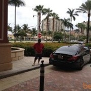  ,   GURAMI, 58 ,   
