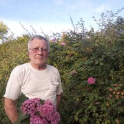 ���������� ������ �����, ���� ������� ���������, 103 ����, ������������ 