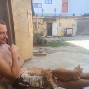 ���������� �������, ���� ������� �������, 34 ����, ������������ ��� c�������� ���������, ���������