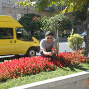  ,   Nokoli, 40 ,   