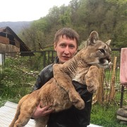 ���������� ���������, ���� ������� �������, 40 ���, ������������ ��� ������, ����� � ���������, c�������� ���������