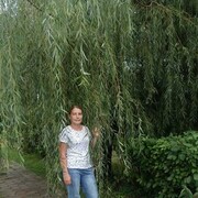 ���������� �����������, ���� ������� ���������, 40 ���, ������������ ��� ����� � ���������, c�������� ���������