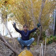  ,   , 37 ,   c 