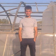 ���������� �������������, ���� ������� Vitalia, 38 ���, ������������ ��� ������, ����� � ���������, c�������� ���������