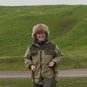 ���������� �������, ���� ������� �������, 55 ���, ������������ ��� ������, ����� � ���������, c�������� ���������