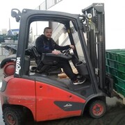 ���������� ���������, ���� ������� ����������, 41 ���, ������������ ��� ������, ����� � ���������, c�������� ���������