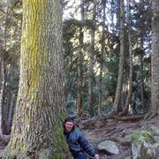 ���������� ���������, ���� ������� ������, 40 ���, ������������ ��� ������, ����� � ���������, c�������� ���������