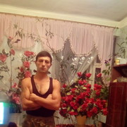  ,   LION, 36 ,   