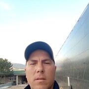 ���������� �������, ���� ������� ���������, 38 ���, ������������ ��� ������, ���������