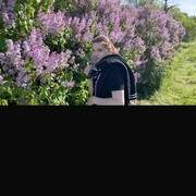 ���������� �����������, ���� ������� �����, 22 ����, ������������ ��� c�������� ���������, ���������