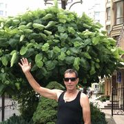 ���������� ����, ���� ������� ���������, 61 ���, ������������ ��� ������, ����� � ���������