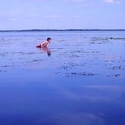 ���������� �������, ���� ������� ���������, 43 ����, ������������ ��� ������, ����� � ���������, c�������� ���������