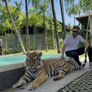 ���������� ������, ���� ������� �����, 31 ���, ������������ ��� ������, ����� � ���������, c�������� ���������, ���������