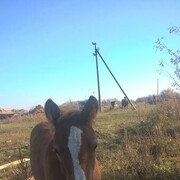  ,   Igor, 38 ,   ,   
