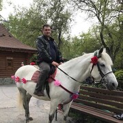 ���������� ���������, ���� ������� ������, 43 ����, ������������ ��� ������, ����� � ���������