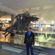 ���������� ������, ���� ������� ���������, 44 ����, ������������ ��� ������, ����� � ���������