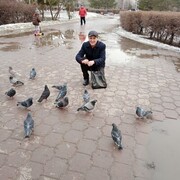 ���������� ����, ���� ������� ���������, 40 ���, ������������ ��� ������, ����� � ���������