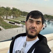 ���������� ���������, ���� ������� LiOn, 34 ����, ������������ ��� ������, ����� � ���������, c�������� ���������