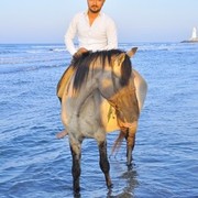 ���������� ����, ���� ������� Semka, 31 ���, ������������ ��� ������, ����� � ���������, c�������� ���������